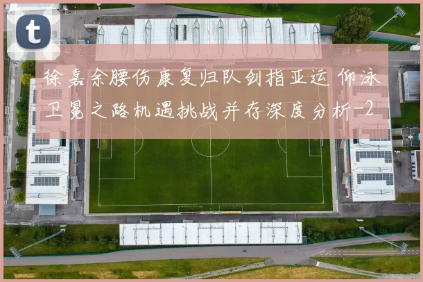 徐嘉余腰伤康复归队剑指亚运 仰泳卫冕之路机遇挑战并存深度分析
